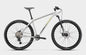 TITAN RACING ROGUE Alpine (2026)